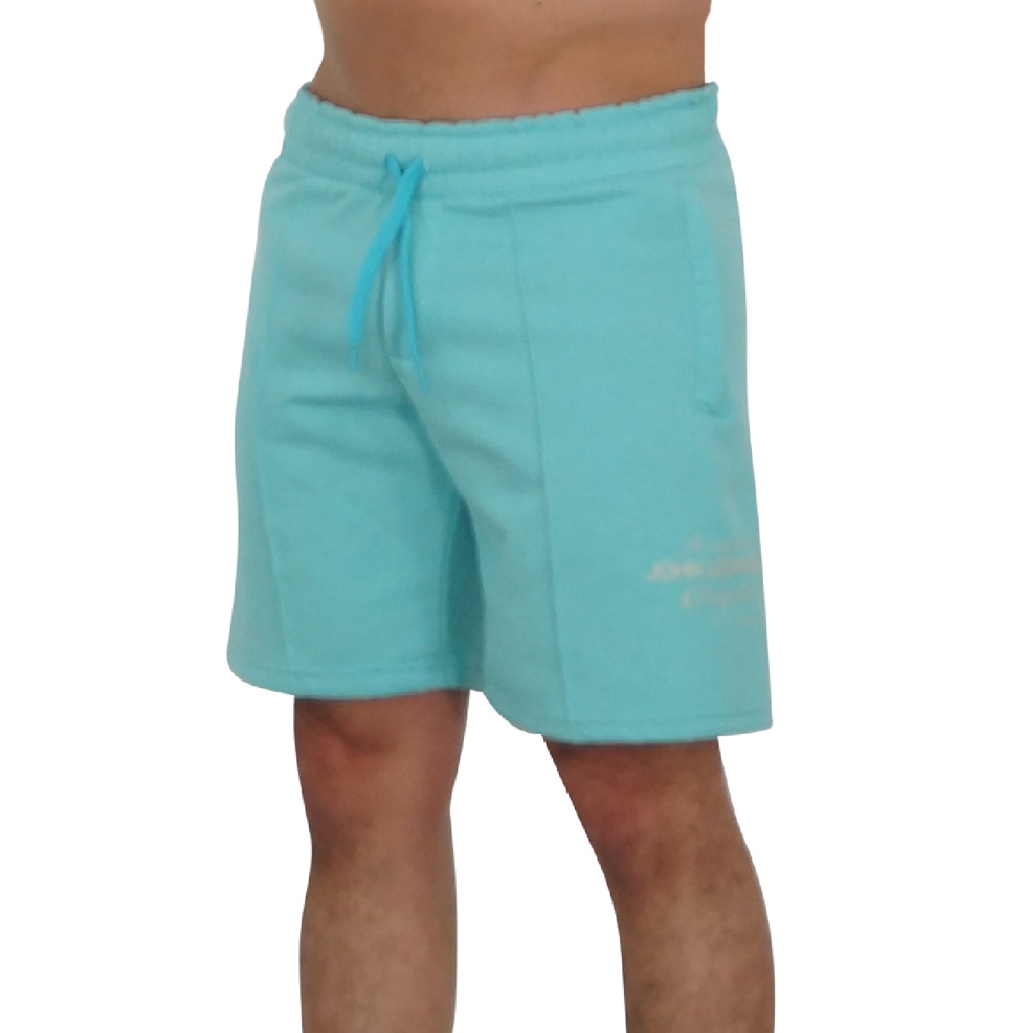 Fleece Short Mint Perspective Logo