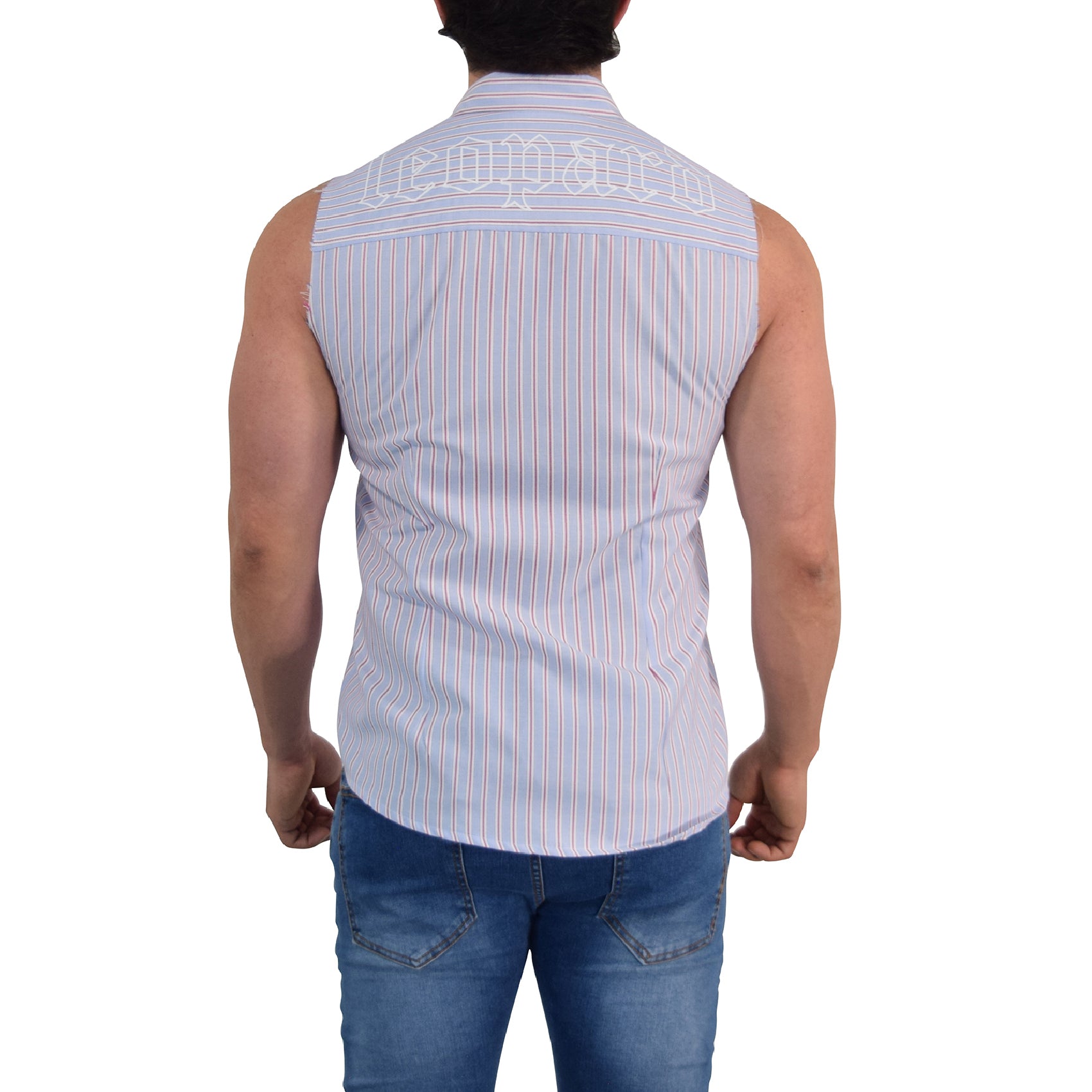 Camisa Barbell & Business Shirt Excel Color Stripes