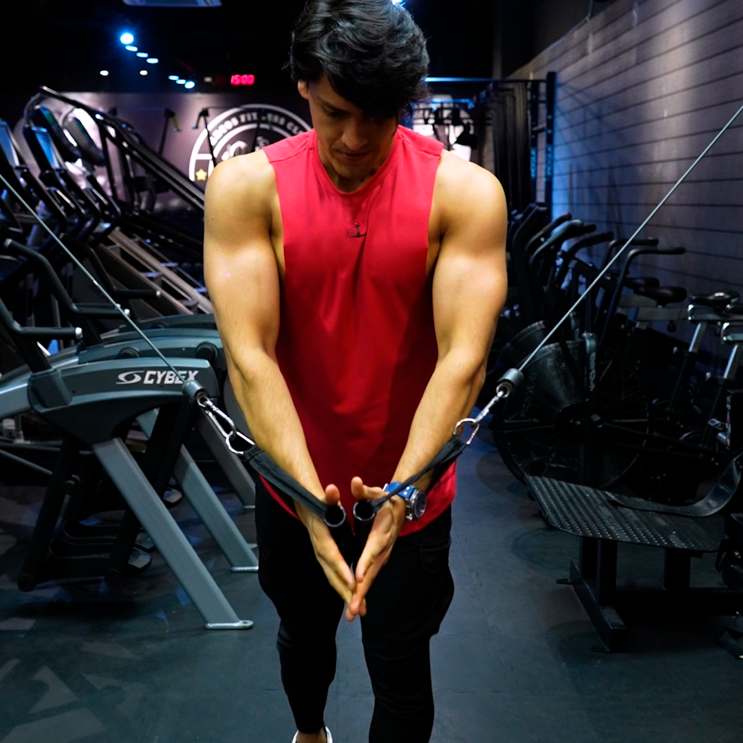 Gym Sleeveless Tee Wine Logo Stripes Black